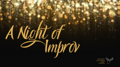 Night Of Improv portfolio